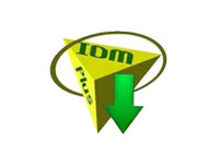多线程下载神器 IDM(6.40.5.v3)免注册绿色便携破解版